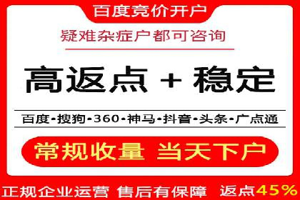 案例研究：SEM竞价托管效果对比
